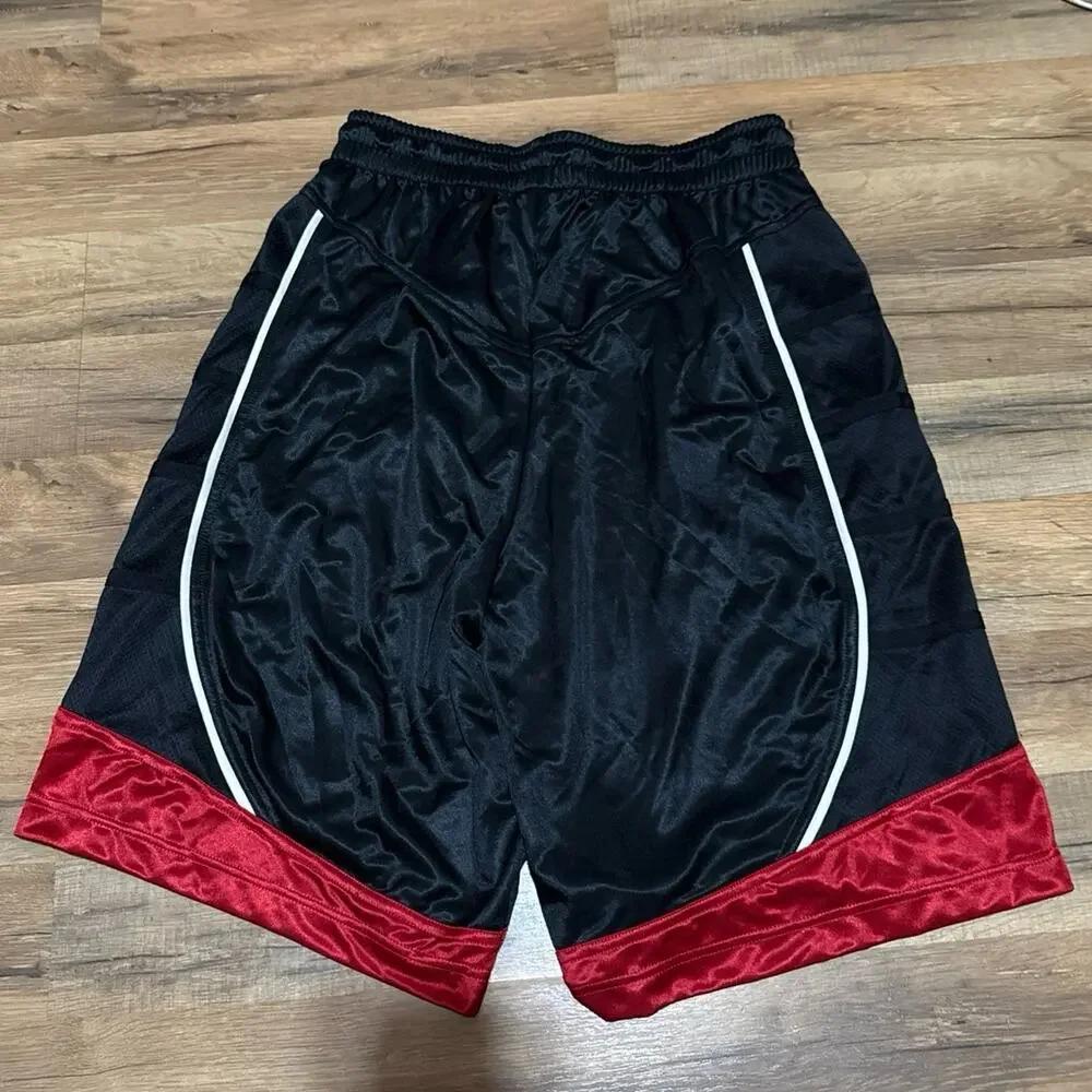 2012 Air Jordan Chicago Silky Dazzle Shiny Vintage Basketball 395417-012 Shorts